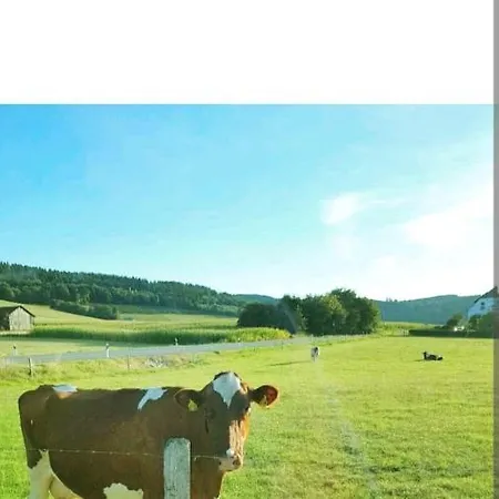4 Erw. 1 Ki. Entspannung Terasse Ausblick Schmallenberg
