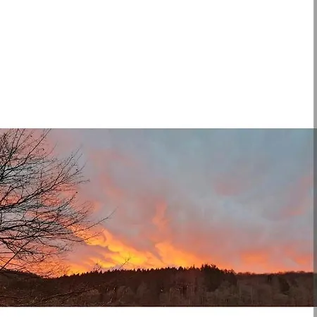 4 Erw. 1 Ki. Entspannung Terasse Ausblick * Schmallenberg