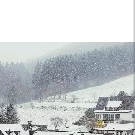 4 Erw. 1 Ki. Entspannung Terasse Ausblick Schmallenberg