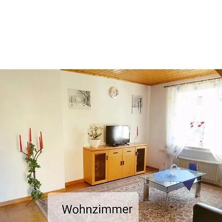 4 Erw. 1 Ki. Entspannung Terasse Ausblick Apartment Schmallenberg